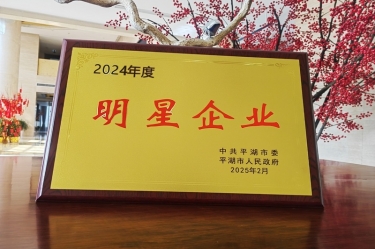 新春新景新气象 | k1体育在平湖三干大会上喜摘荣誉！