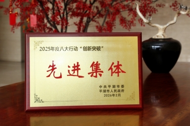 策马扬鞭启新程！k1体育在平湖市三级干部大会上荣获“创新突破”双项荣誉